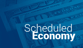 Scheduled Economy