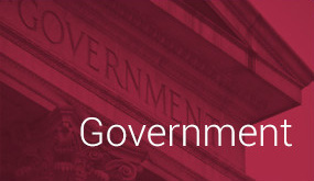 Government